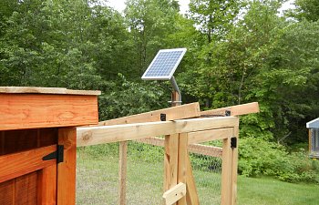 DIY : Automatic Chicken Coop Door With Timer & Solar Charger | BackYard ...