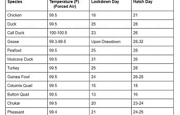 Egg Hatching Temperature Chart