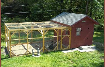 Moonshadowsfarm Backyard Chickens