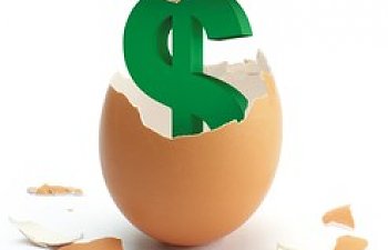 How much does it cost to raise backyard chickens 