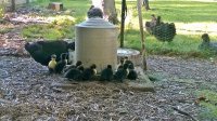 WP_20160606_064.jpg