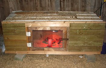 Ladyinreds Chicken Brooder