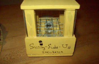 Homemade Incubator 3