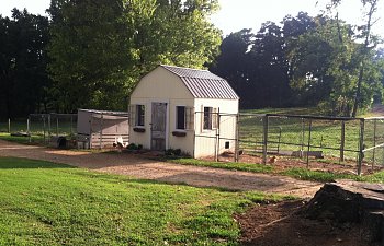 Fluffy Bottoms Barn