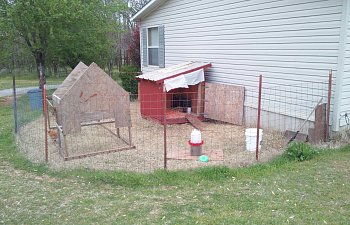 Cluckers' Corral