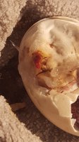 20170525_141626.jpg