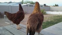 20170523_193813.jpg