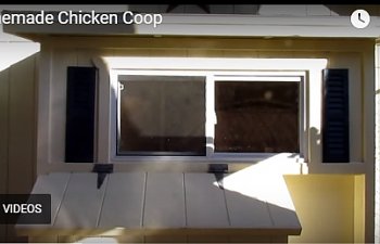 Side Shed Chicken Coop