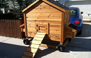 LARGER Amish Style Coop on Wheels - Boise Idaho