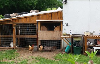 Our Chicken Coop Gors Through Changes