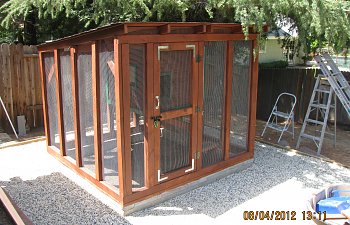 Backyard Coop