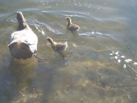 20170525_191455.jpg