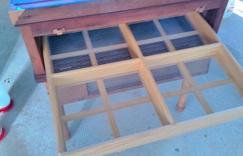 IMG_20170525_184052.jpg