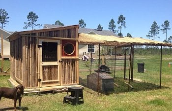 Bamboo Chicken House - North Florida