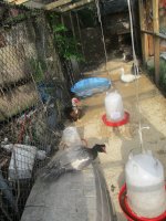 IMG_1499.JPG