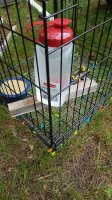 20170526_145328.jpg