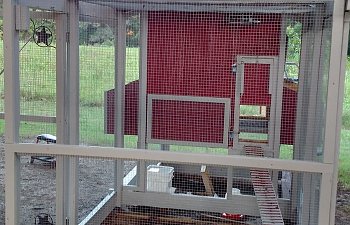 From old porch to coop.