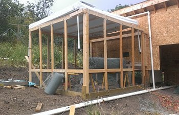 Poultry Palace (inside a solar pool heater panel rack)