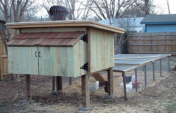 Door Nest Coop
