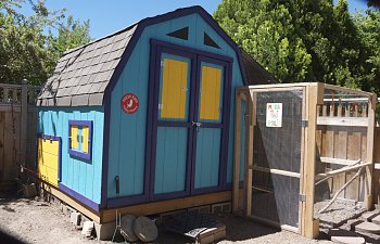 Shed to the coop