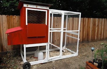 Chicks Only Chicken Tractor