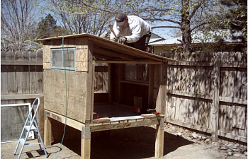 Dantaylors Chicken Coop