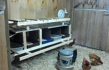 Horse Stall To Easy Maintenance Coop Good Ideas For Any Coop