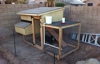 My Coop In The Az Sun