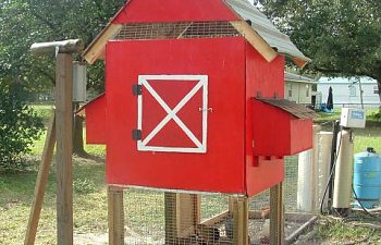 Biddys Barn Our First Coop