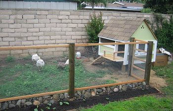 Sore Thumb Suburbanites Chicken Coop