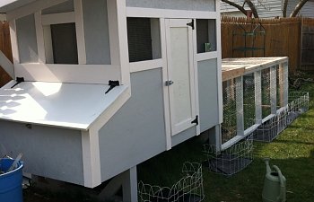 Backyard coop and mini coop