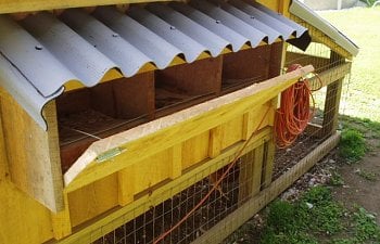 30865_nesting_boxes_and_chickens_001.jpg 30865_nesting_boxes_and_chickens_001.jpg