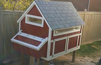Raised chicken coop