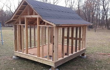 8x10 Coop in CowTown