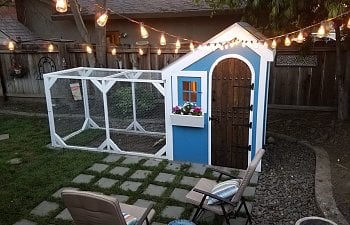 The Little Cottage Coop