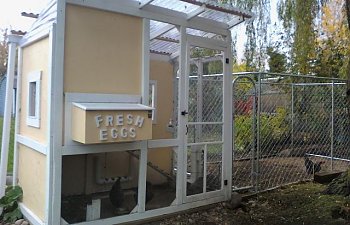 Denise70s Chicken Coop