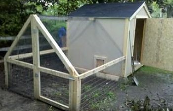 My Chicken Coop Build Page