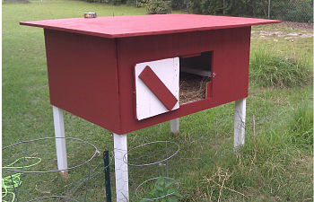 Bantam coop- for the CARPENTRY CHALLENGED!