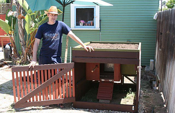 Shaunachs Chicken Coop