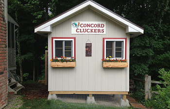 Concord Cluckers Coop