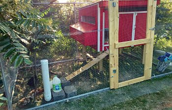 Chill's Chicken Coop