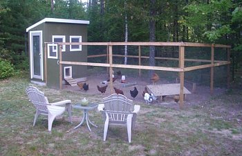 Mlo88jcos Chicken Coop