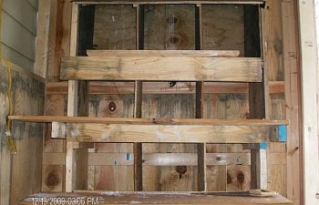 42887_chicken_coop_049.jpg