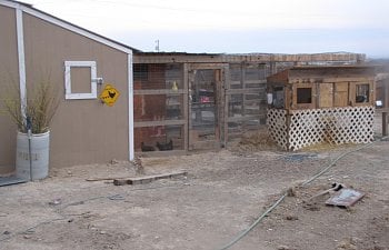 Cackydoodledoos Chicken Coop