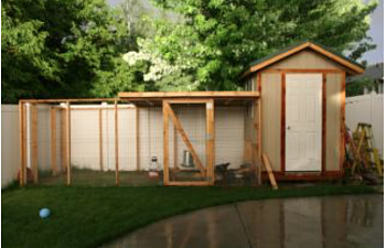 Nektros Chicken Coop