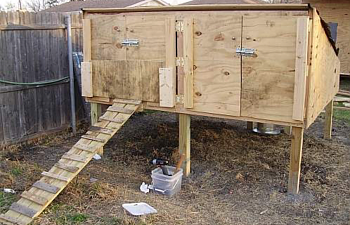 Ryanmans Chicken Coop