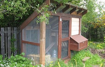 Beakfarms Chicken Coop