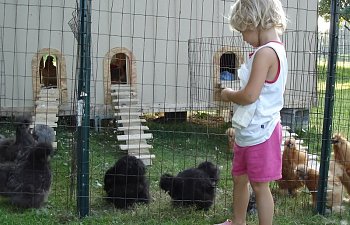 Jenlynn4s Chicken Coop