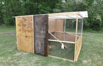 Temporary coop might be permanent solution!