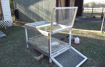 Biddy Coop Home Made For Young Feathered Chicks Til Adding To Flock